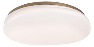 Rabalux 75053 - LED Koupel. stropní svítidlo CALIOPE LED/24W/230V IP44 pr. 41 cm