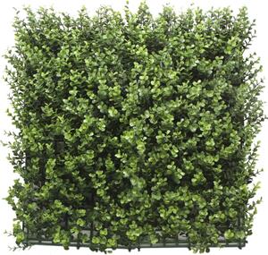 Umělý živý plot BUXUS DONKER PREMIUM, 4ks dílce 50x50cm, plocha 1m2