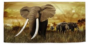 Sablio Ručník Slon Africký - 70x140 cm