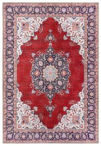 Nouristan - Hanse Home koberce Kusový koberec Asmar 104970 red, rose, multicolored - 80x150 cm