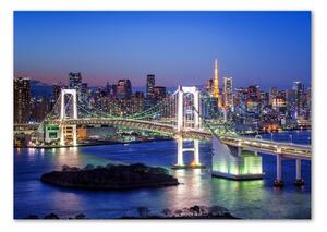 Foto obraz sklo tvrzené Most v Tokio pl-osh-100x70-f-83069808