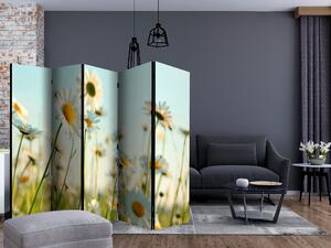 Artgeist Paraván - Daisies - spring meadow II [Room Dividers] Size: 225x172