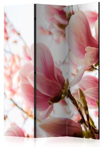 Artgeist Paraván - Pink magnolia [Room Dividers] Velikosti (šířkaxvýška): 135x172