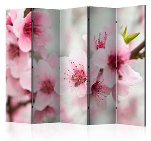 Artgeist Paraván - Spring, blooming tree - pink flowers II [Room Dividers] Velikosti (šířkaxvýška): 225x172