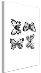 Obraz - Čtyři motýli 40x60