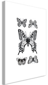 Obraz - Pět motýlů 40x60