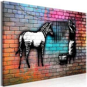 Obraz - Mytí zebry - plnobarevné 90x60