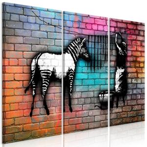 Obraz - Umytá zebra na barevných cihlách 120x80