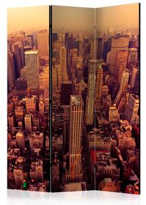 Paraván - Pohled z ptačí perspektivy na Manhattan, New York 135x172