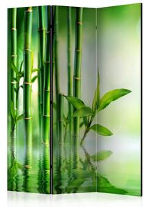 Paraván - Bambusový háj 135x172