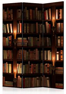 Artgeist Paraván - Bookshelves [Room Dividers] Velikosti (šířkaxvýška): 135x172