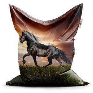 Sablio Sedací vak Classic Friský kůň - 150x100 cm