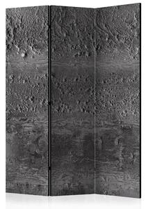 Artgeist Paraván - Grey Storm [Room Dividers] Velikosti (šířkaxvýška): 135x172