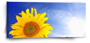 Sablio Obraz Slunečnice 2 - 110x50 cm