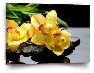 Sablio Obraz Žluté orchideje - 90x60 cm