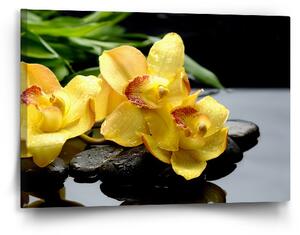 Sablio Obraz Žluté orchideje - 60x40 cm