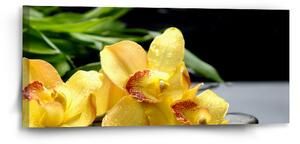 Sablio Obraz Žluté orchideje - 110x50 cm