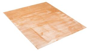 TAPISO Chlupatý kusový koberec RABBIT - béžový Rozměr koberce: 60x100 cm