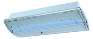 FULGUR Nástěnné / stropní obdelníkové LED svítidlo s nouzovým modulem FIWA SELENA, 1 hod., denní bílá, IP42 s-21179