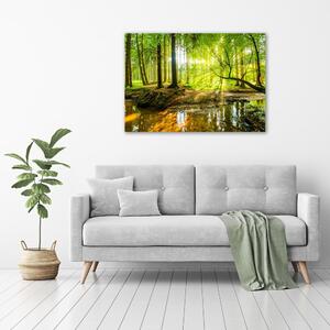 Foto obraz na plátně Rybník v lese pl-oc-100x70-f-96124300