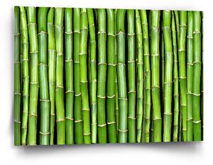 Sablio Obraz Bambus - 90x60 cm