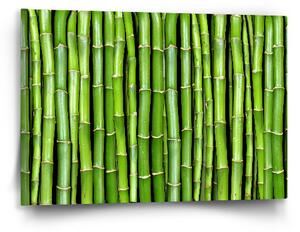 Sablio Obraz Bambus - 60x40 cm