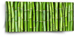 Sablio Obraz Bambus - 110x50 cm