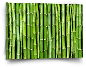 Sablio Obraz Bambus - 120x80 cm
