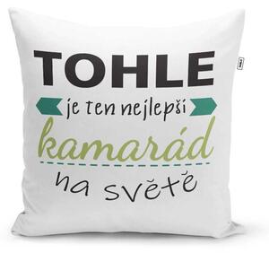 Sablio Polštář Tohle je ten nejlepší kamarád na světě: 40x40 cm