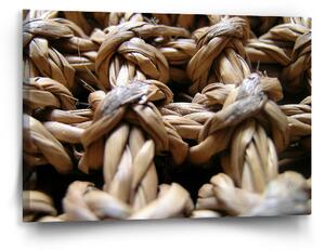 Sablio Obraz Banánové listí - 60x40 cm