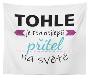 Sablio Deka Tohle je ten nejlepší přítel na světě: 150x120 cm