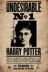 Plakát, Obraz - Harry Potter - Undersirable No.1