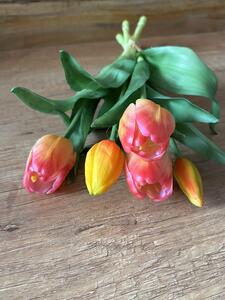 Kytice tulipánů v různých barvách Barva: Meruňová