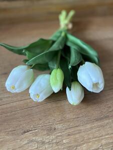 Kytice tulipánů v různých barvách Barva: Bílá