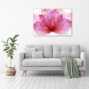 Foto obraz na plátně do obýváku Růžová květina pl-oc-100x70-f-98648030
