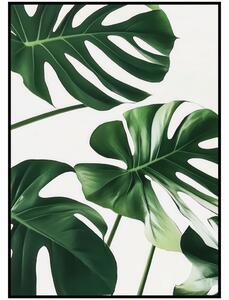 Jen tak z lásky Plakát Monstera Rozměr plakátu: A4 (21 x 29,7 cm)