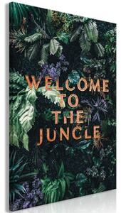 Obraz - Vítejte v džungli 40x60