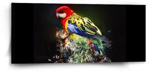 Sablio Obraz Barevný papoušek - 110x50 cm