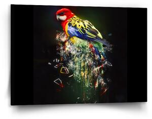 Sablio Obraz Barevný papoušek - 120x80 cm