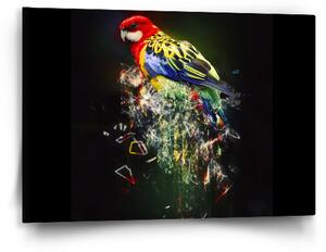 Sablio Obraz Barevný papoušek - 60x40 cm