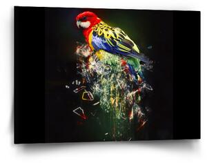 Sablio Obraz Barevný papoušek - 90x60 cm