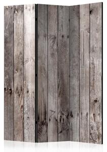 Paraván - Stoleté dřevo 135x172
