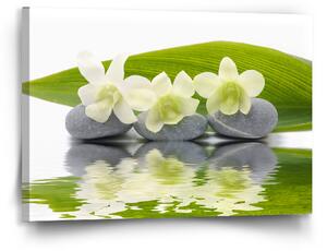 Sablio Obraz Bílá orchidej - 90x60 cm