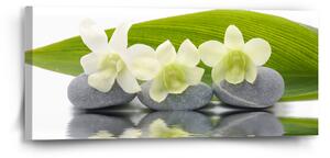 Sablio Obraz Bílá orchidej - 110x50 cm