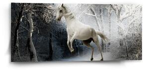 Sablio Obraz Bílý kůň - 110x50 cm
