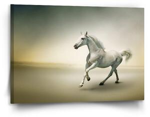 Sablio Obraz Bílý kůň 2 - 120x80 cm