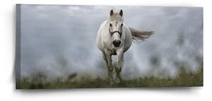 Sablio Obraz Bílý kůň 3 - 110x50 cm