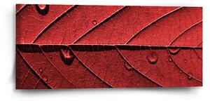 Sablio Obraz Červený list - 110x50 cm