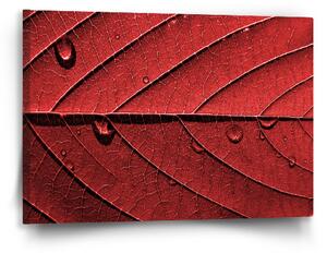 Sablio Obraz Červený list - 60x40 cm