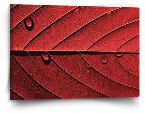 Sablio Obraz Červený list - 120x80 cm